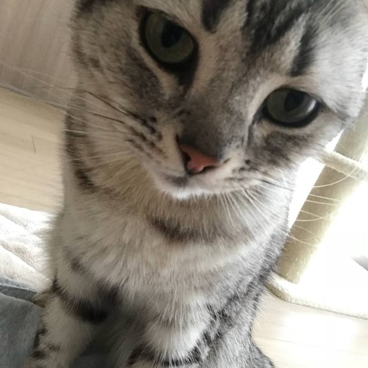 B9cfc031 b793 4286 b427 0f412a207755 1523060165047