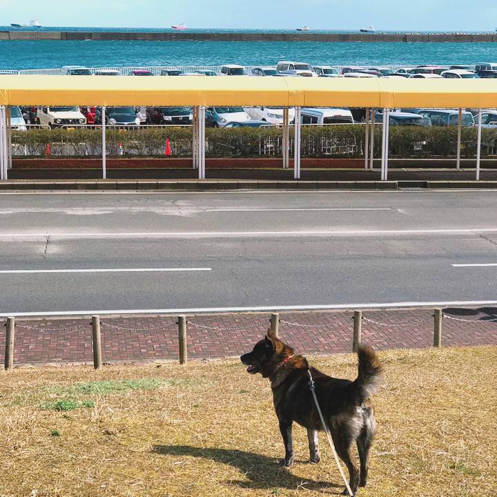 B9cfdb99 023a 4d67 b10a c05d4c94d150 1554008286820