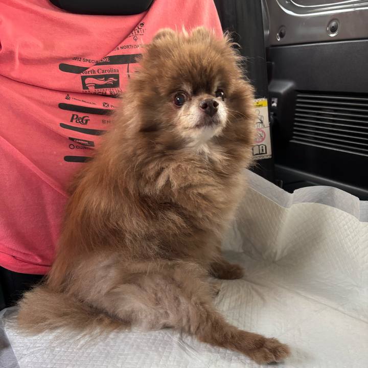 B9cff467 0471 4c5c 9221 6b8608e2c17a 1762644033473