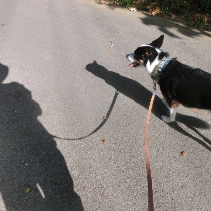 B9d007fd a90f 4930 8e87 58c312a9185a 1661840344220