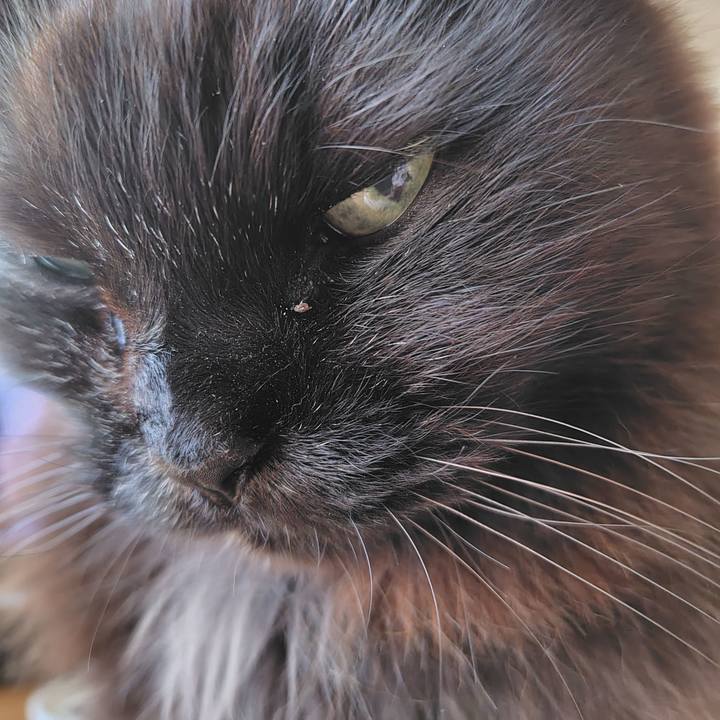 B9d00d5c c880 44e0 84be e9866e851d7a 1739918797726