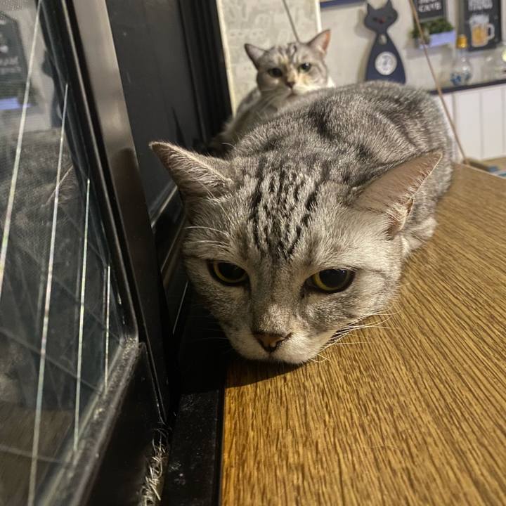 B9d023a2 9212 48d8 b8b0 527cef2640a8 1663372502244