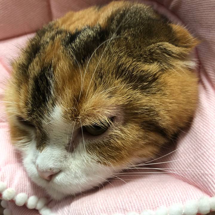 B9d02d33 397f 41c6 8357 9512d25d98f4 1567309673166