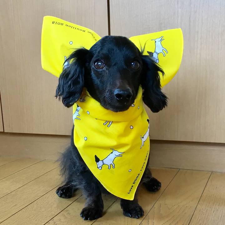 B9d05d5b f962 4591 9591 edf1839fb3bc 1590959709064