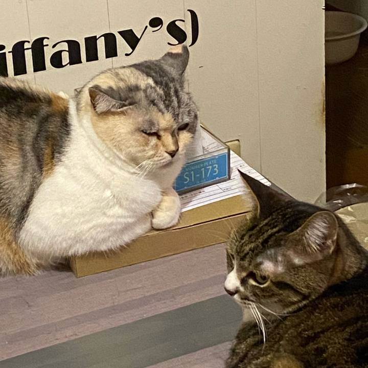 B9d0707f fd58 4e69 9987 aeac871b6754 1668863219786