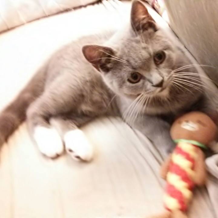 B9d0730f 9133 4c7e 9666 67901e9e283a 1534718763357