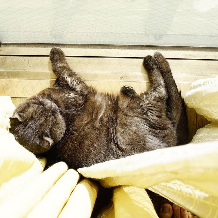 B9d0bc85 fd1d 46b7 974c dfc6ba12bb51 1640520720618