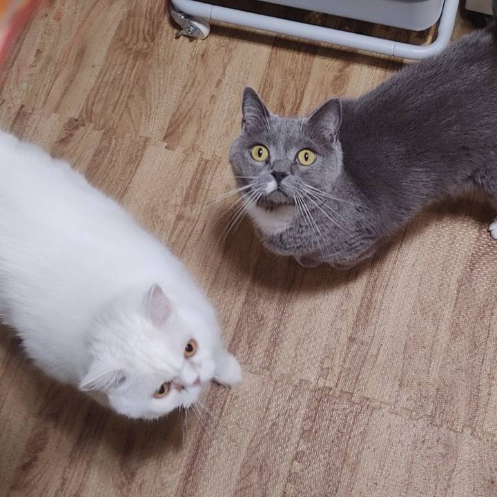 B9d0d7e7 0852 4931 b6f3 8e17030b28ee 1722168822640