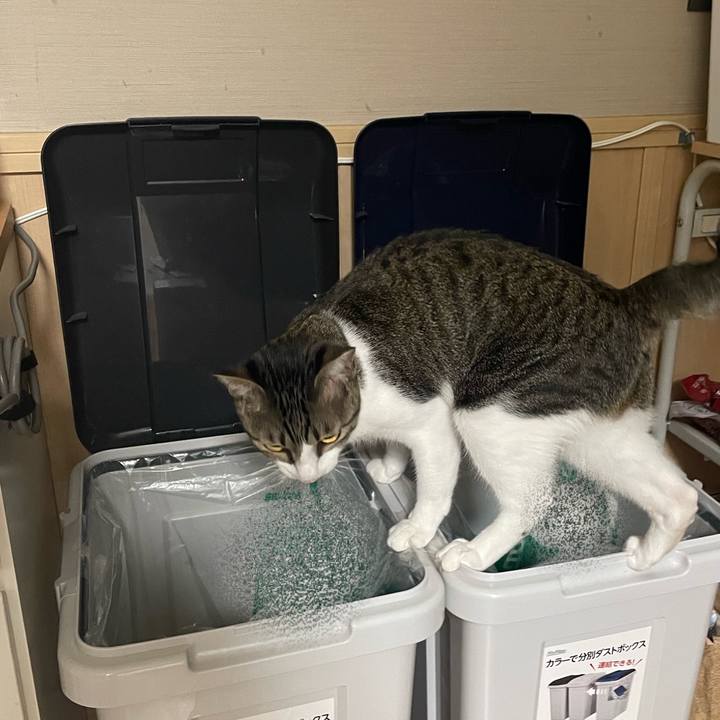 B9d0d8bc 7a5f 4862 a727 82a109947abe 1756359139425