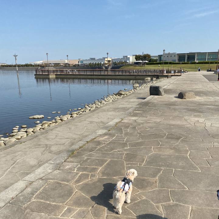 B9d0ecfe 2517 4cbb ba49 56e84df0582f 1572663964977