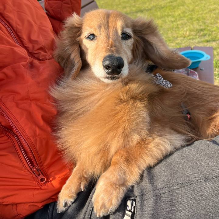 B9d0f724 dd5b 490b a68e f465c0e79591 1682254279239