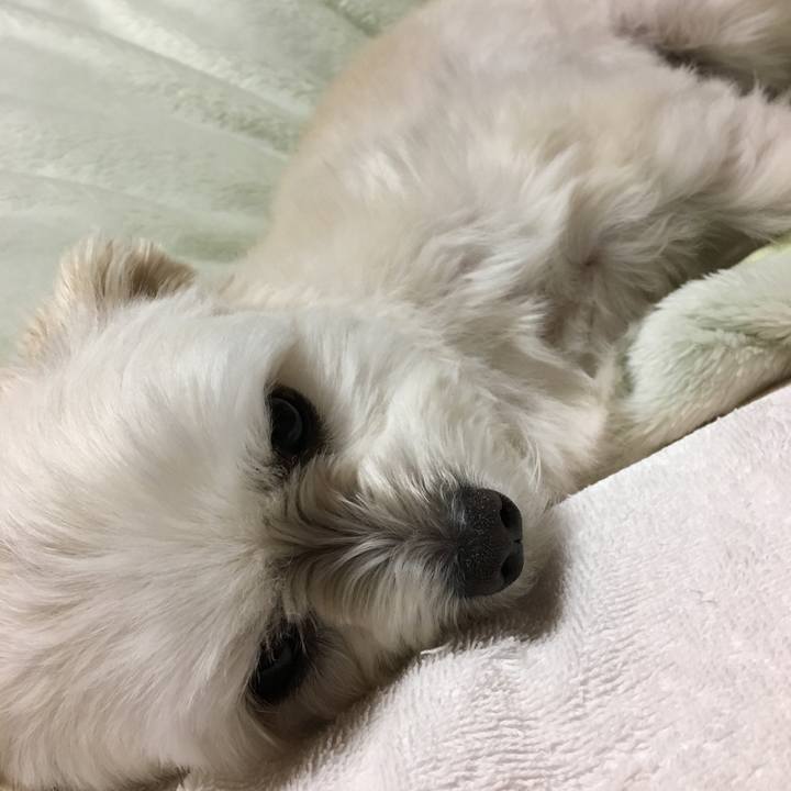 B9d154cf 6ae2 4532 8115 d9b1f69f1b5a 1554205378350