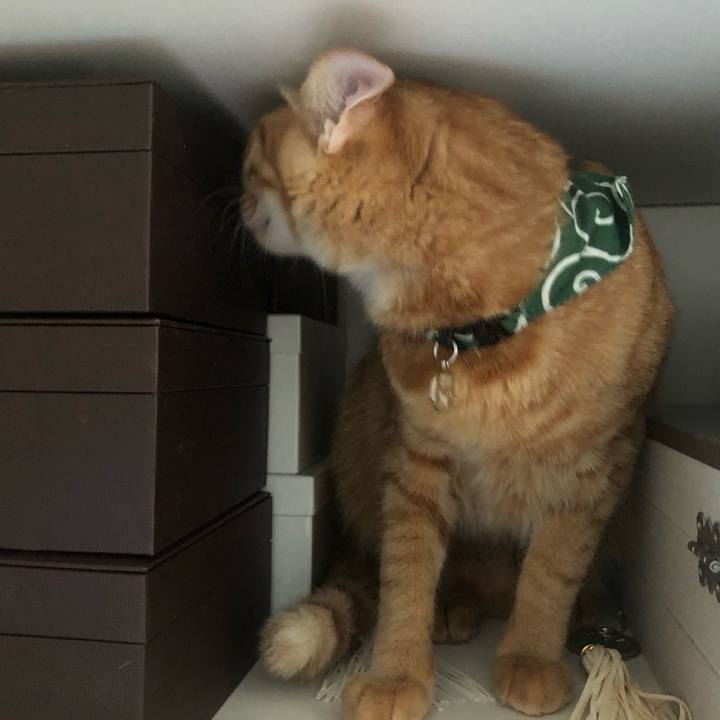 B9d16b6c e92f 4491 b0e8 b483b5410cc0 1632098895077