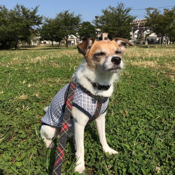 B9d172a8 0aa3 41ff a866 44597fb542c3 1569544821819