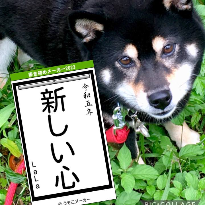 B9d18d5a e8d8 4551 a7de f6afdad0cb0d 1673480592245