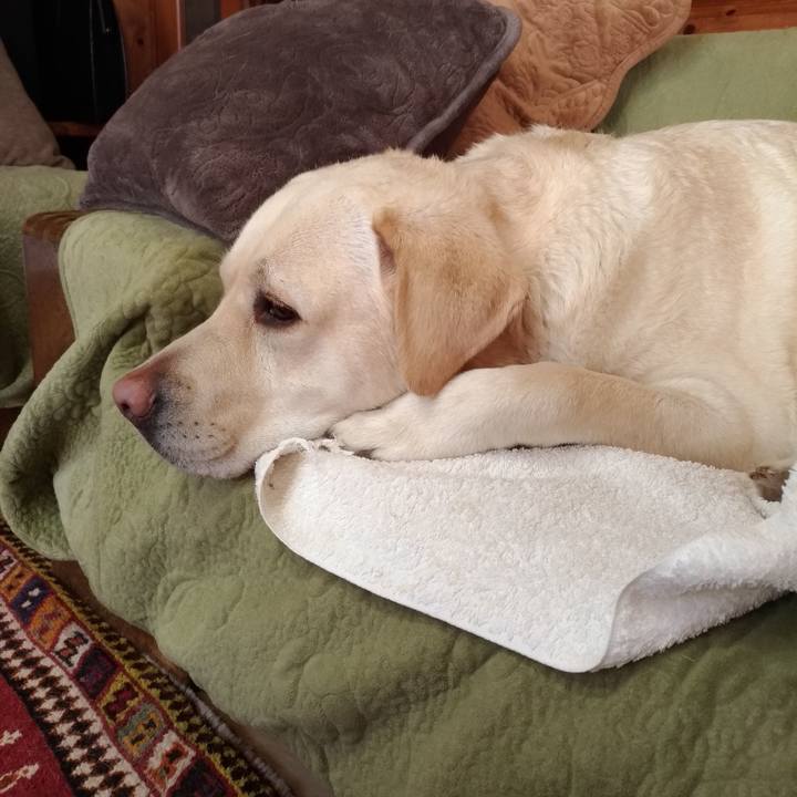 B9d19a85 eeaa 4e0e b797 9646cc52ca6f 1547443799013