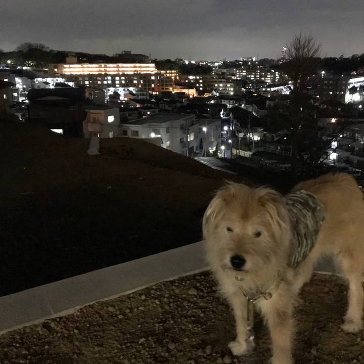 B9d1b8c0 ecef 4da4 a94c a7c7f228ca2a 1616420540937