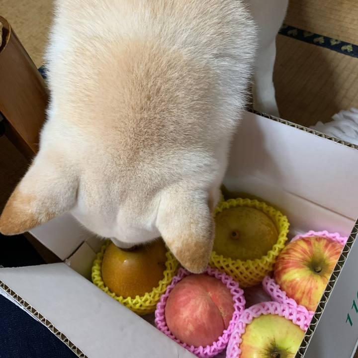 B9d1d18c 71c9 4168 bdd5 a18f818fb251 1601328104264