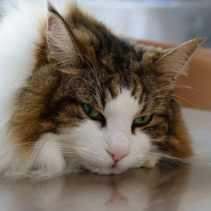 B9d1d521 539b 45e9 a2b4 50e8bdfa85e1 1723718646191