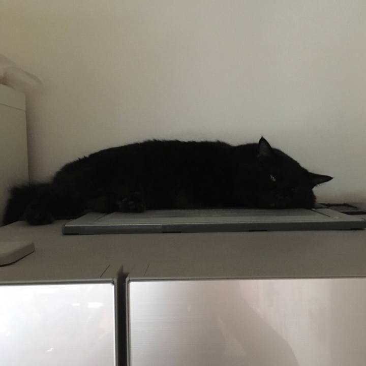 B9d1dc2d 106a 4fb3 946b d3421f2dbe3f 1535691313362