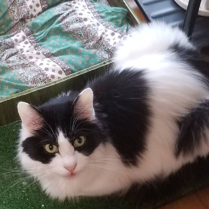 B9d1e577 6b80 4c70 9bf1 113307145eda 1595654863677