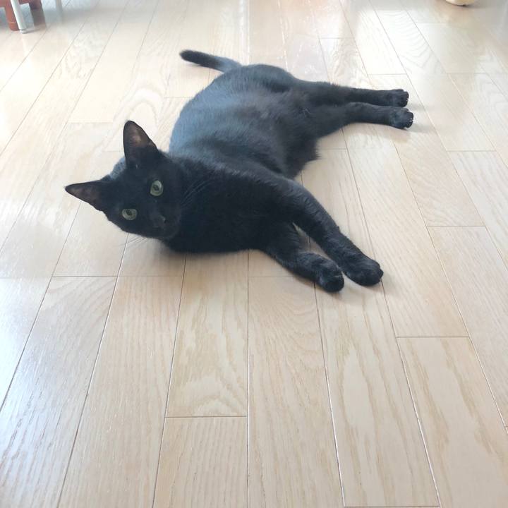 B9d1e5e1 b2a6 4fe1 bed6 9c9dc71f5c70 1534293135648