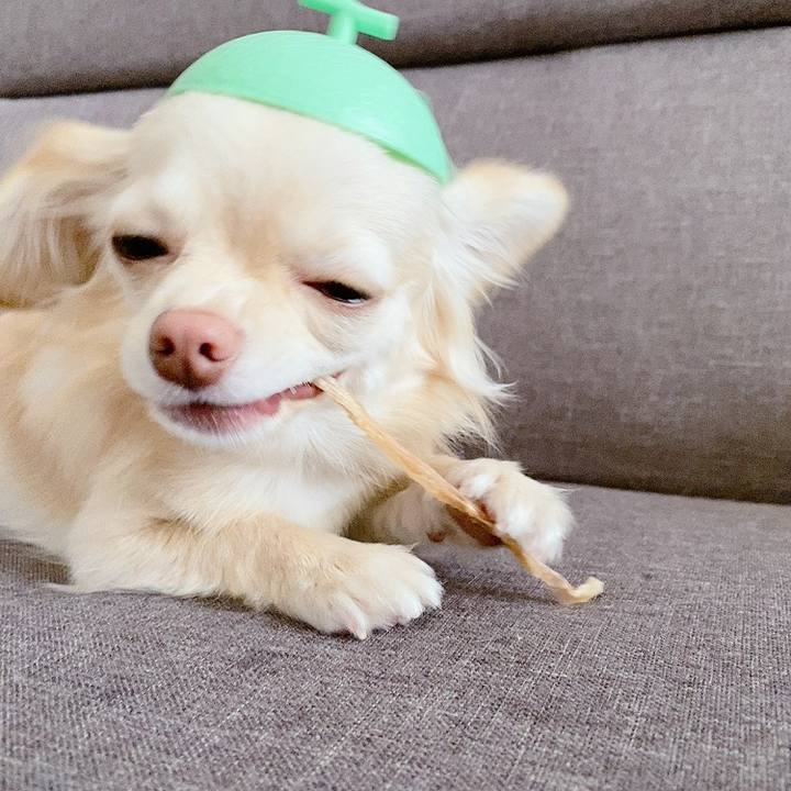 B9d1f235 3b21 4841 8a0c 1163a15bfb7f 1618387530127