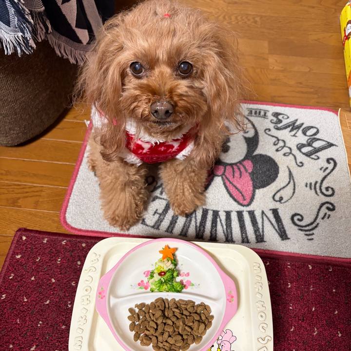 B9d21955 8d4e 41c5 aabb 67c98f401294 1766654748359