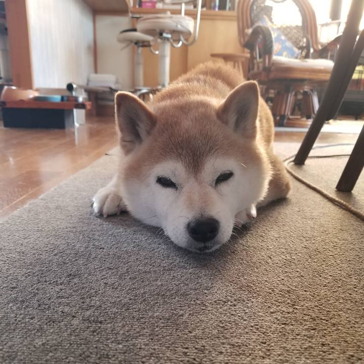 B9d22241 a6f2 44f8 b8d7 241911b4f361 1690499355904