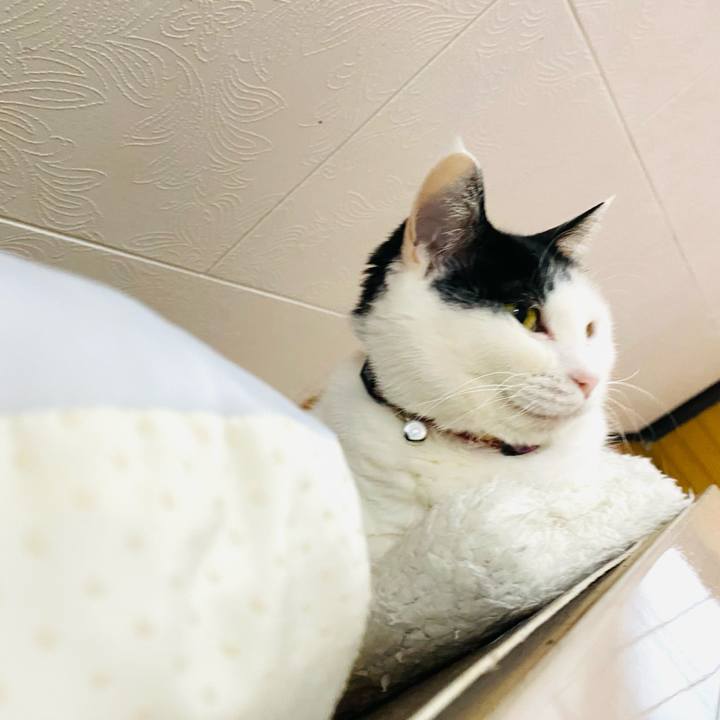 B9d24bb5 a169 4c1a 9e67 f5c3a335a309 1683583630108