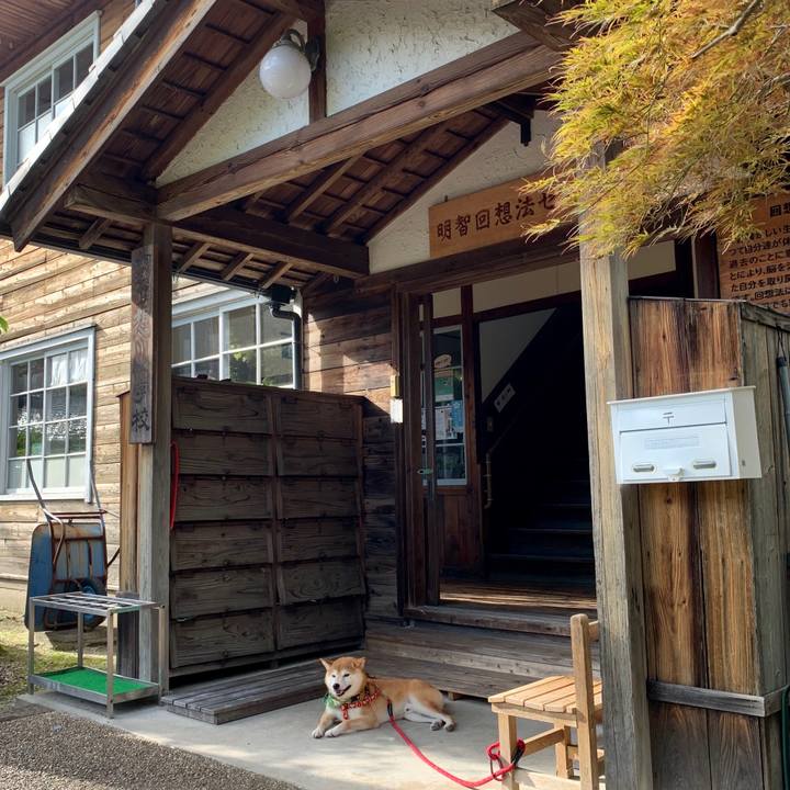 B9d252c3 2500 4198 909e 0012cabdfca4 1567418259551