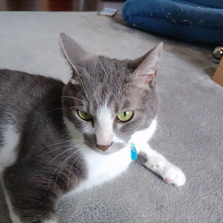 B9d26f38 0cdc 4191 b994 7c43889cb6ed 1661229144837