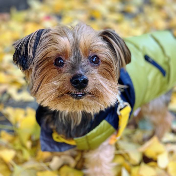 B9d2beec ba31 4602 9084 5ec634375981 1607916724809