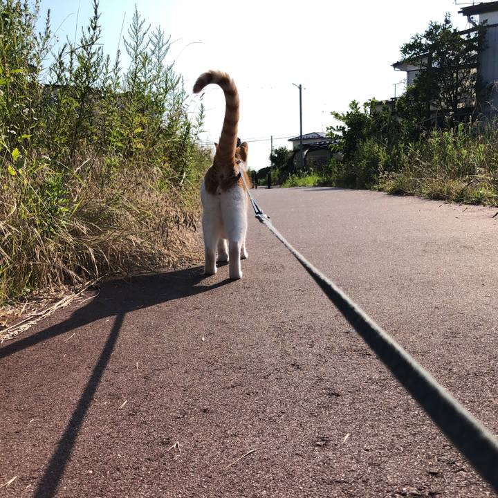 B9d30a94 1f3a 4624 83b0 49410039d77e 1564643604818