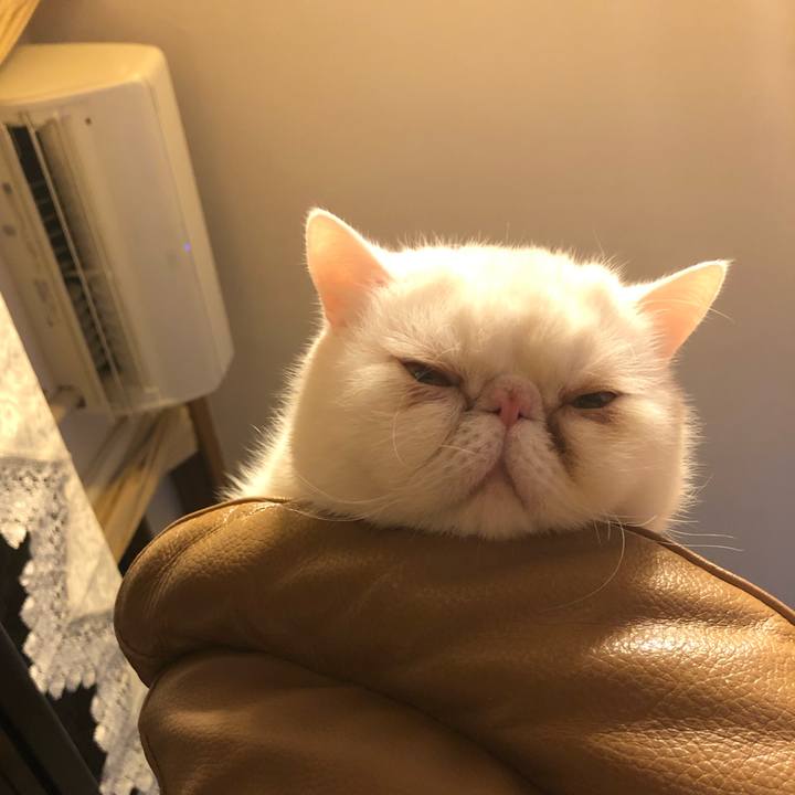 B9d33e3c 1ce6 4c45 b14d edc2f5fcbda6 1644755113551