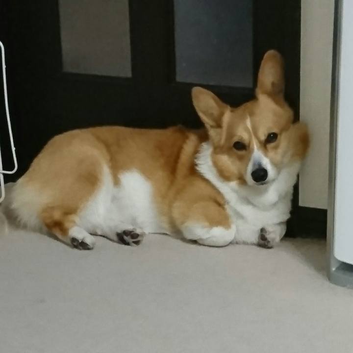 B9d34994 8303 4983 8fba dcda59b386bc 1524749026183