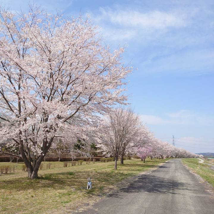 B9d34a03 8a73 440f 84a0 fc66ff733ae6 1680267370123