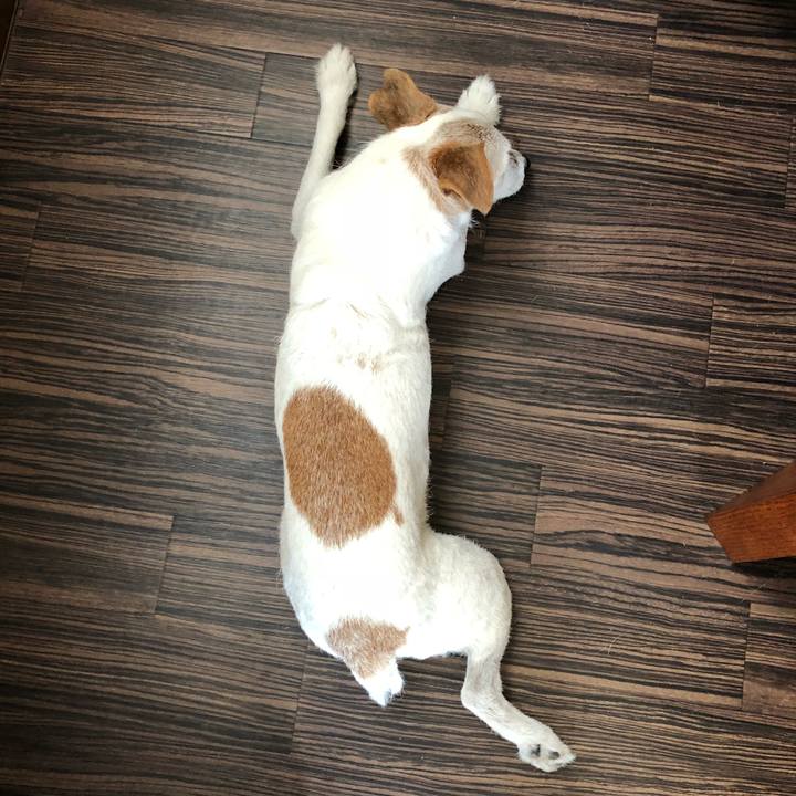 B9d34ee5 82a1 4590 994f 880ac83a070d 1542199476559