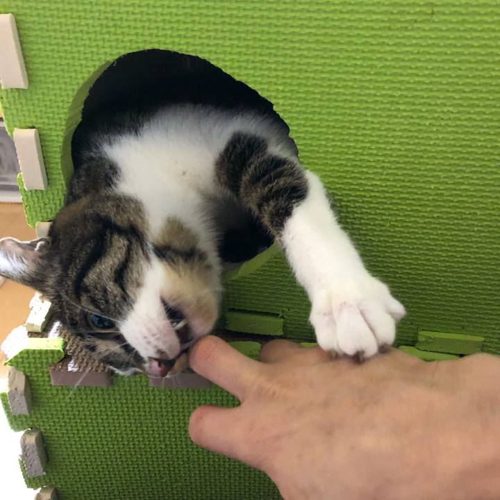 B9d34f8b 168a 4242 842f 2d4873103fba 1521179687014