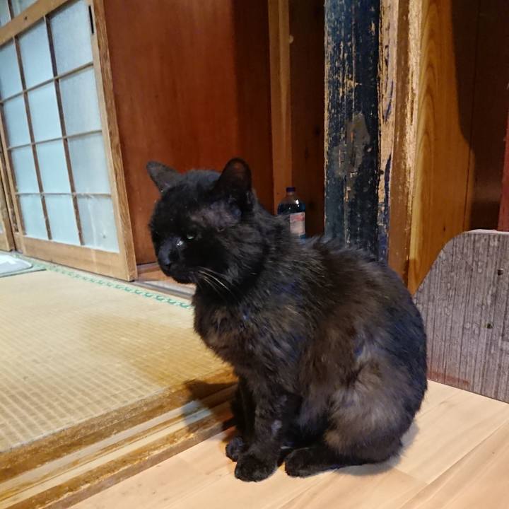 B9d38f20 6775 425a 82c5 b5e0f9fee1b6 1624104176611