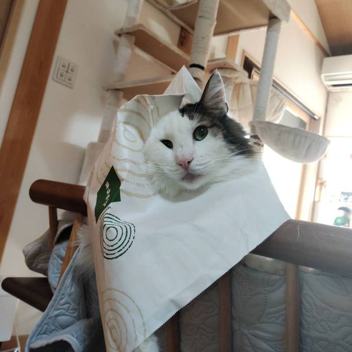 B9d3d0f8 2c51 468b 83d9 5dc6dad47f5c 1762517434097