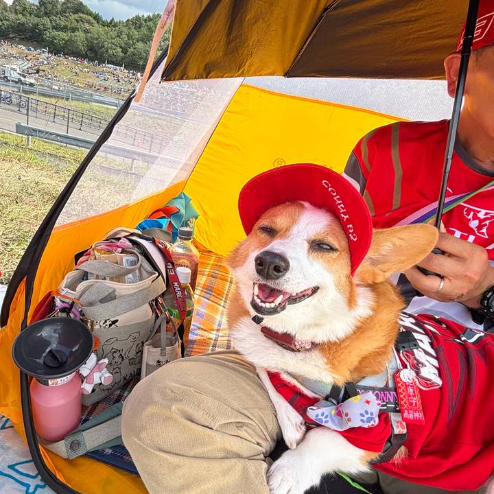 B9d3db7b 6227 47cc 95e7 524af7532403 1759026926646