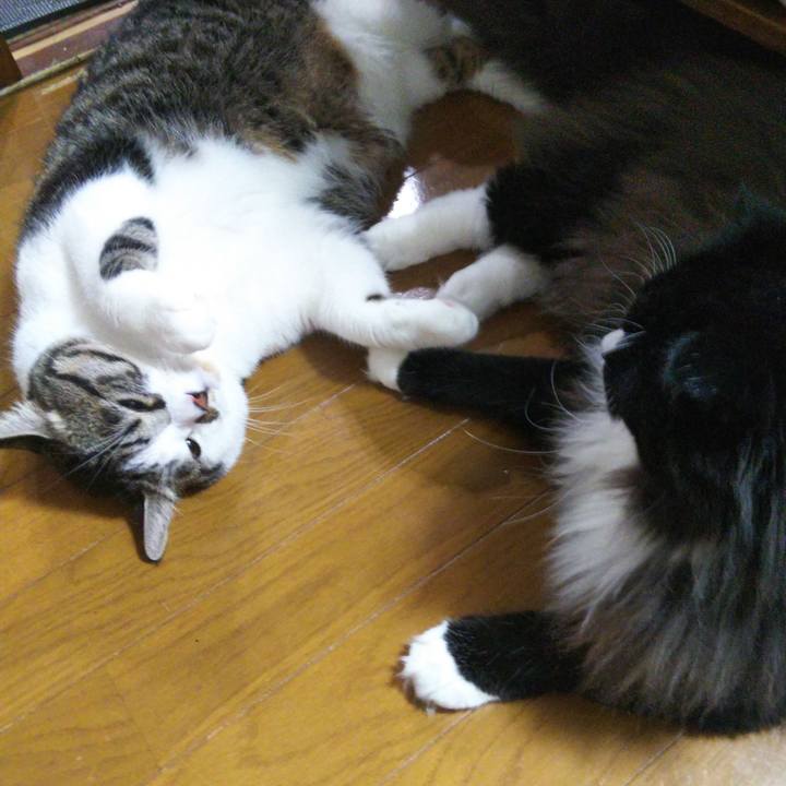 B9d3f83b da50 48a9 877e 9eb7e2191c17 1663544551445