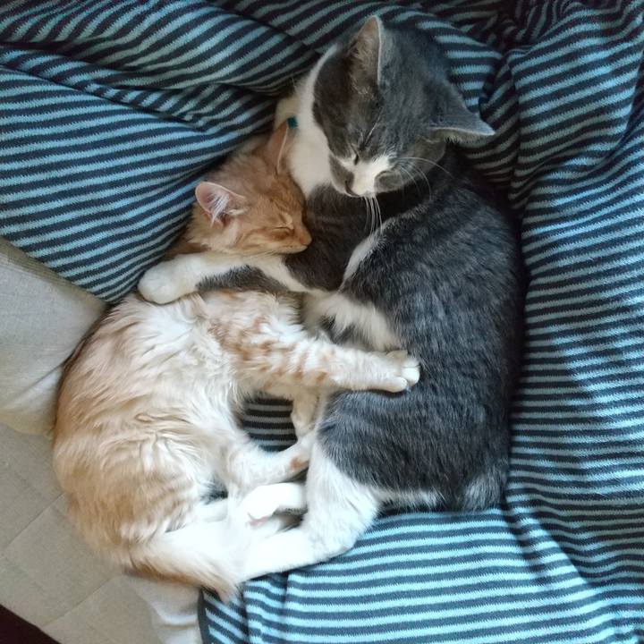 B9d3ffe7 1dd0 4092 9c81 c136782e9a32 1613175620027