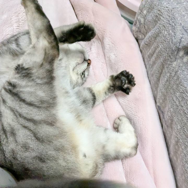 B9d41068 51ae 4bdd 9336 e302f9b3687f 1765203256636