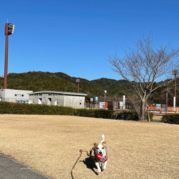 B9d41382 ed0b 468b 9ee0 63370ab72634 1613724713315