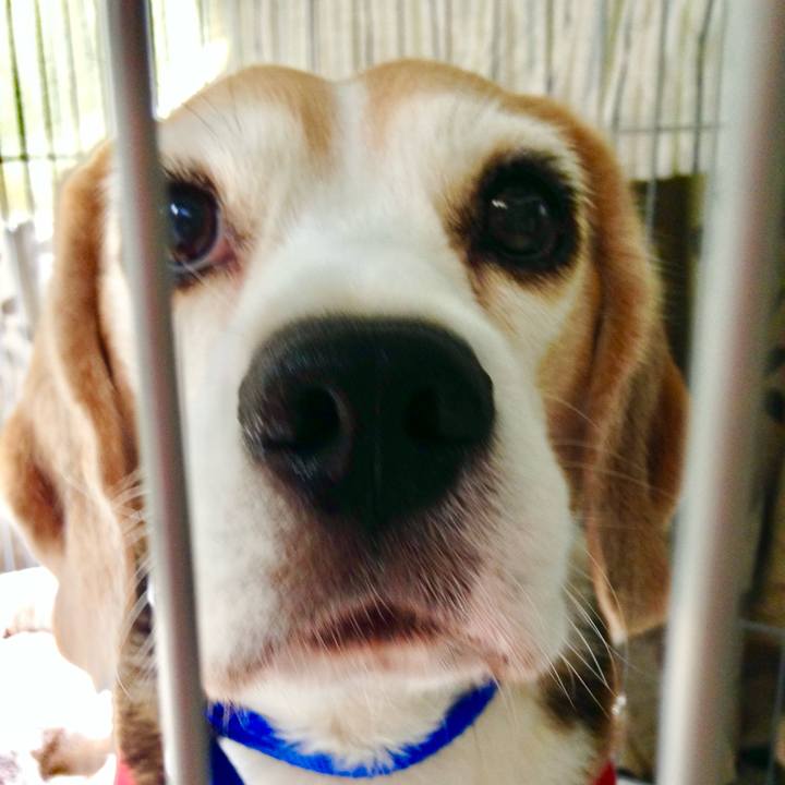 B9d41db9 d559 4238 ab49 2a738d4fdf19 1753593057250