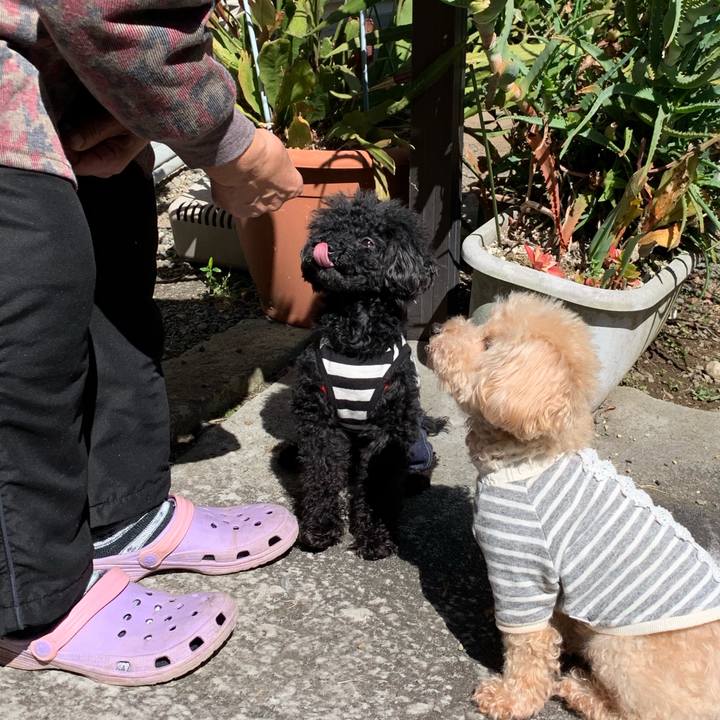 B9d44890 915a 425f a782 41473262309e 1552103400985