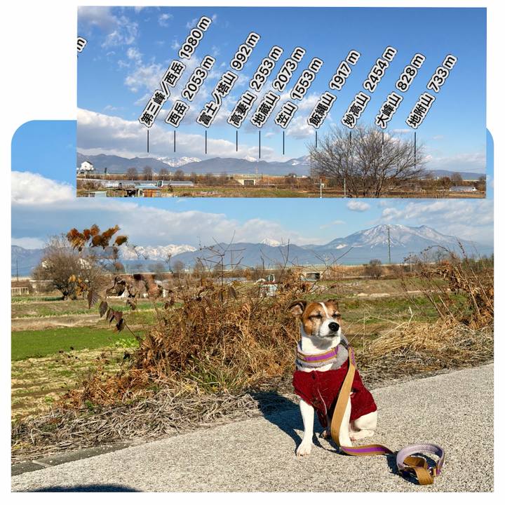 B9d459d5 dba9 432e 9189 7747509b6b52 1765070862211