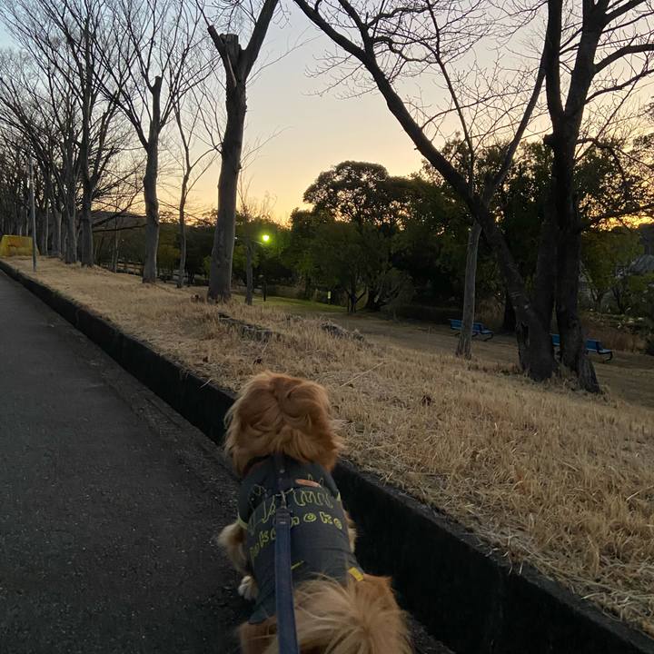 B9d4754e 2196 4090 ab62 fdf18b74bfa4 1580938687387